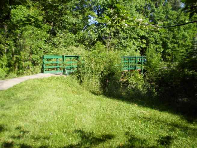 Carriage Hills Park Bridge